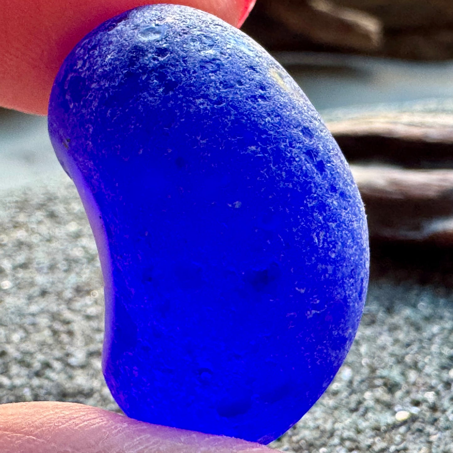 Cobalt Blue & White Sea Glass A2429 – Rare Multicolor Beach Glass, Jewelry Supply, Genuine Ocean Tumbled Piece