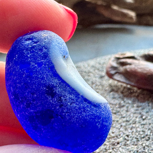 Cobalt Blue & White Sea Glass A2429 – Rare Multicolor Beach Glass, Jewelry Supply, Genuine Ocean Tumbled Piece
