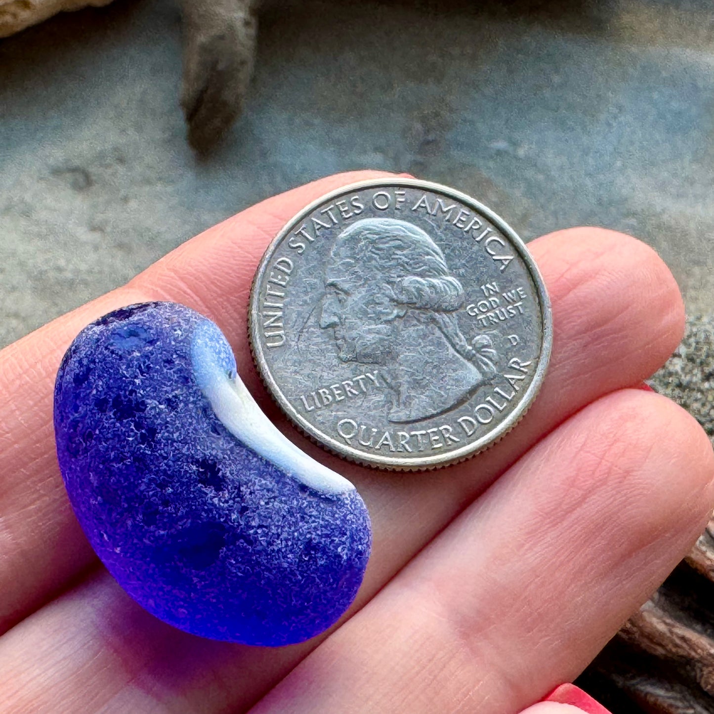 Cobalt Blue & White Sea Glass A2429 – Rare Multicolor Beach Glass, Jewelry Supply, Genuine Ocean Tumbled Piece