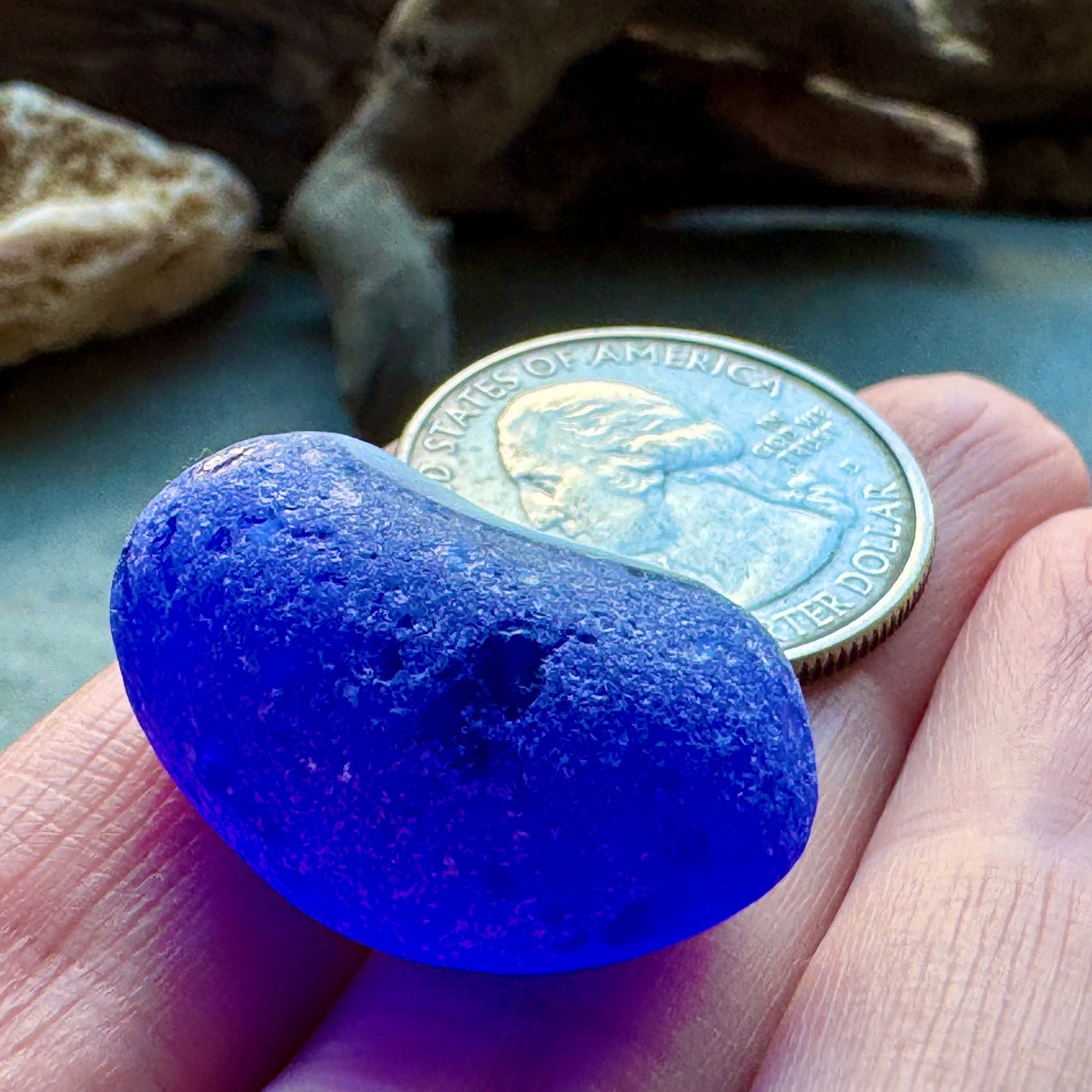 Cobalt Blue & White Sea Glass A2429 – Rare Multicolor Beach Glass, Jewelry Supply, Genuine Ocean Tumbled Piece
