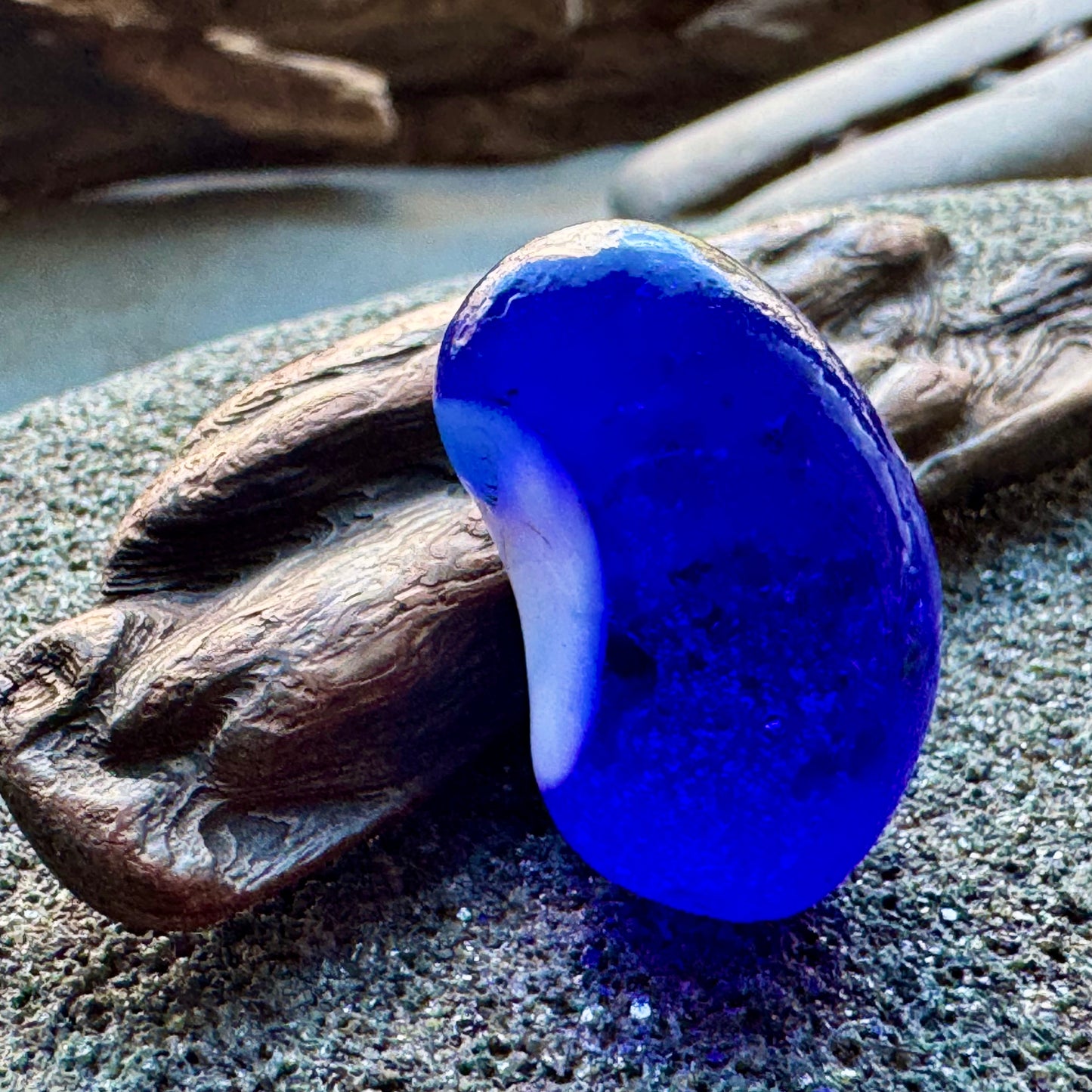 Cobalt Blue & White Sea Glass A2429 – Rare Multicolor Beach Glass, Jewelry Supply, Genuine Ocean Tumbled Piece