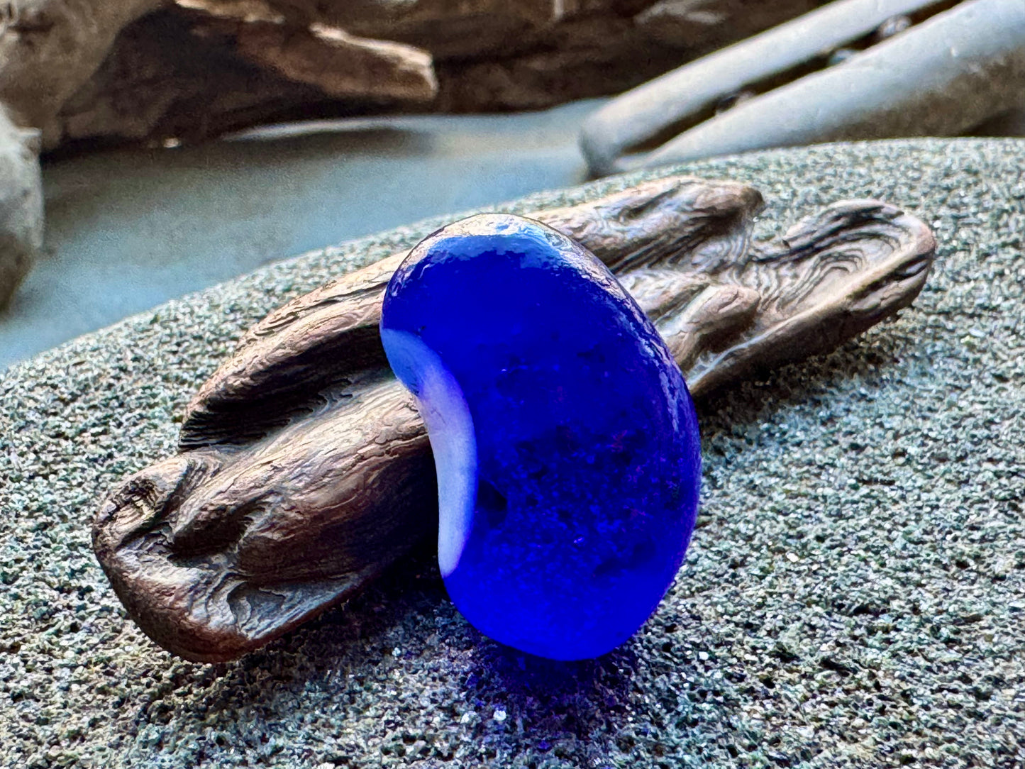 Cobalt Blue & White Sea Glass A2429 – Rare Multicolor Beach Glass, Jewelry Supply, Genuine Ocean Tumbled Piece