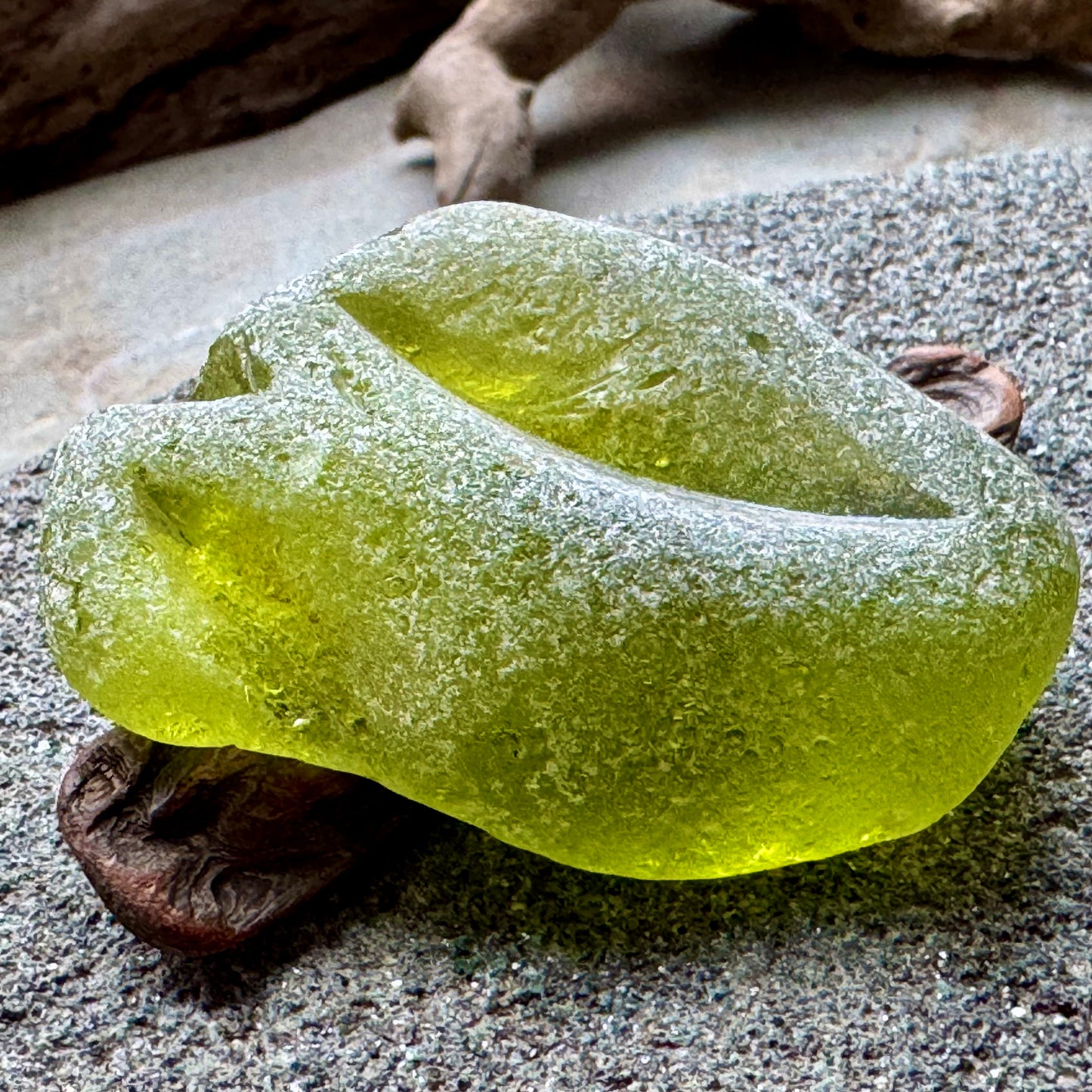 Rare Olive Green Sea Glass Bottle Lip A2590 – Large Genuine Beach Found Sea Glass, Jewelry Supply, Collectors Piece