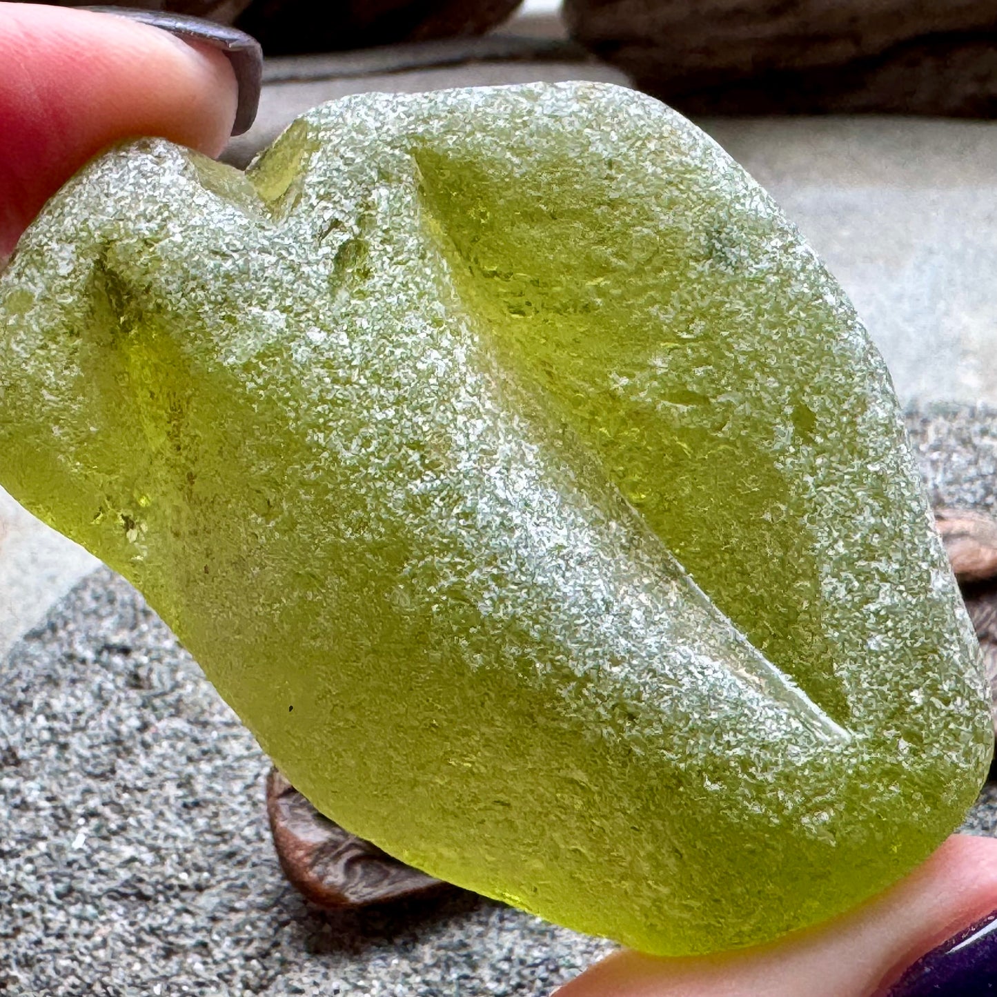 Rare Olive Green Sea Glass Bottle Lip A2590 – Large Genuine Beach Found Sea Glass, Jewelry Supply, Collectors Piece