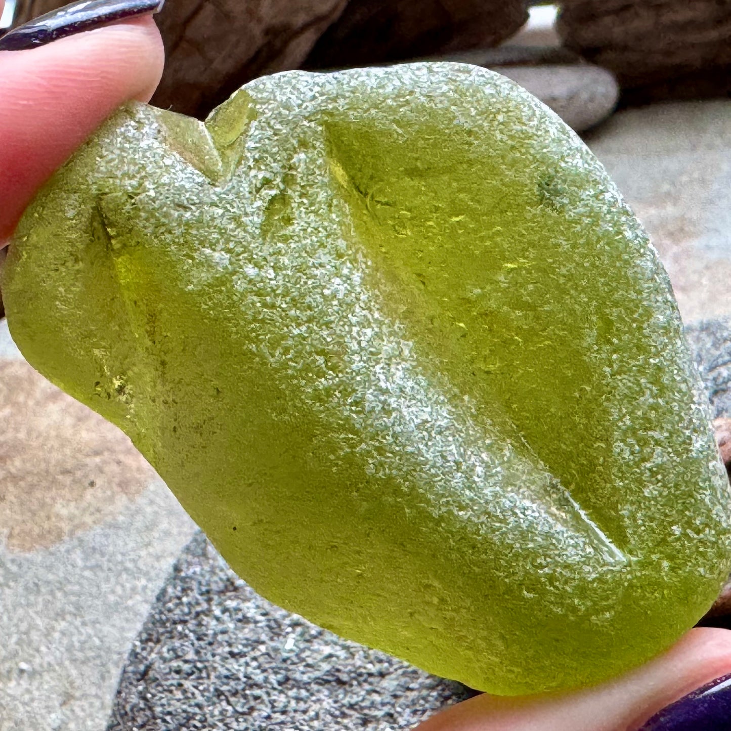 Rare Olive Green Sea Glass Bottle Lip A2590 – Large Genuine Beach Found Sea Glass, Jewelry Supply, Collectors Piece