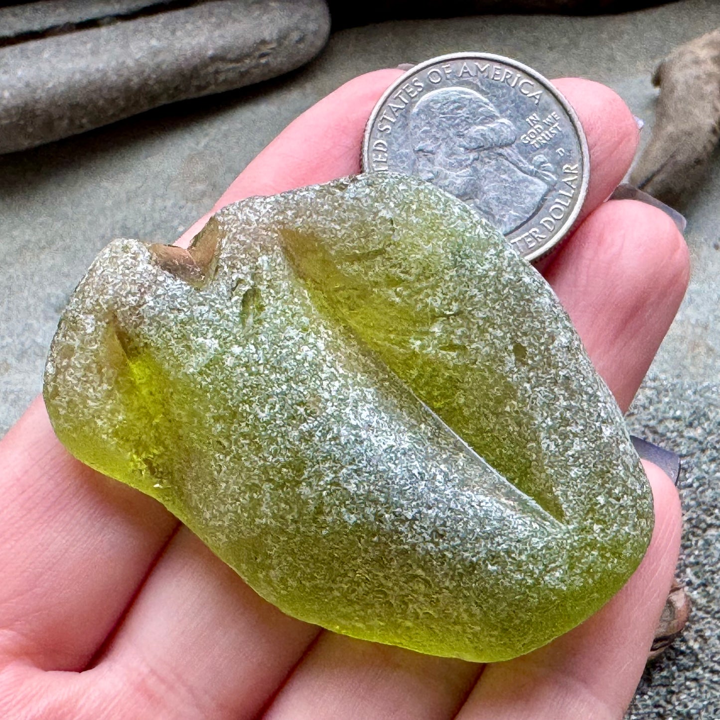 Rare Olive Green Sea Glass Bottle Lip A2590 – Large Genuine Beach Found Sea Glass, Jewelry Supply, Collectors Piece