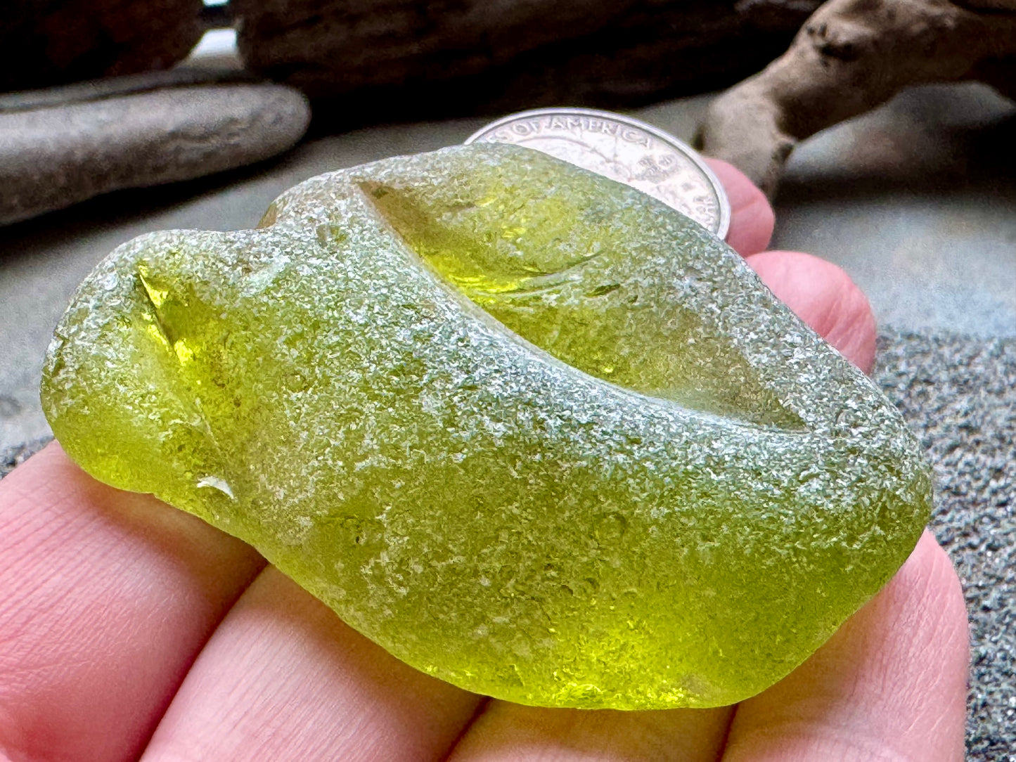 Rare Olive Green Sea Glass Bottle Lip A2590 – Large Genuine Beach Found Sea Glass, Jewelry Supply, Collectors Piece