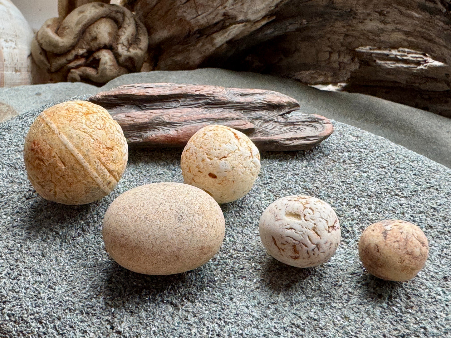 Sea Clay Marbles Set – Natural Ocean Tumbled Ceramic Balls, Beach Found Sea Pottery, Wabi-Sabi Decor, Collector Pieces (5 pcs) A2611