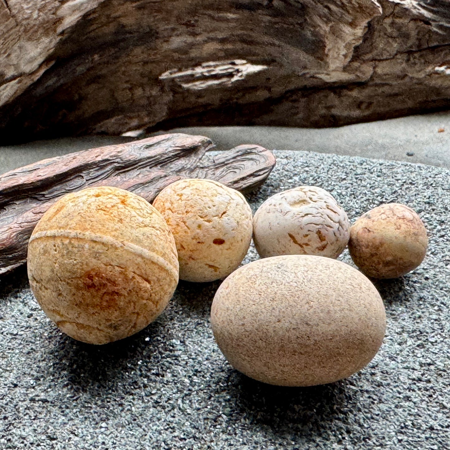Sea Clay Marbles Set – Natural Ocean Tumbled Ceramic Balls, Beach Found Sea Pottery, Wabi-Sabi Decor, Collector Pieces (5 pcs) A2611