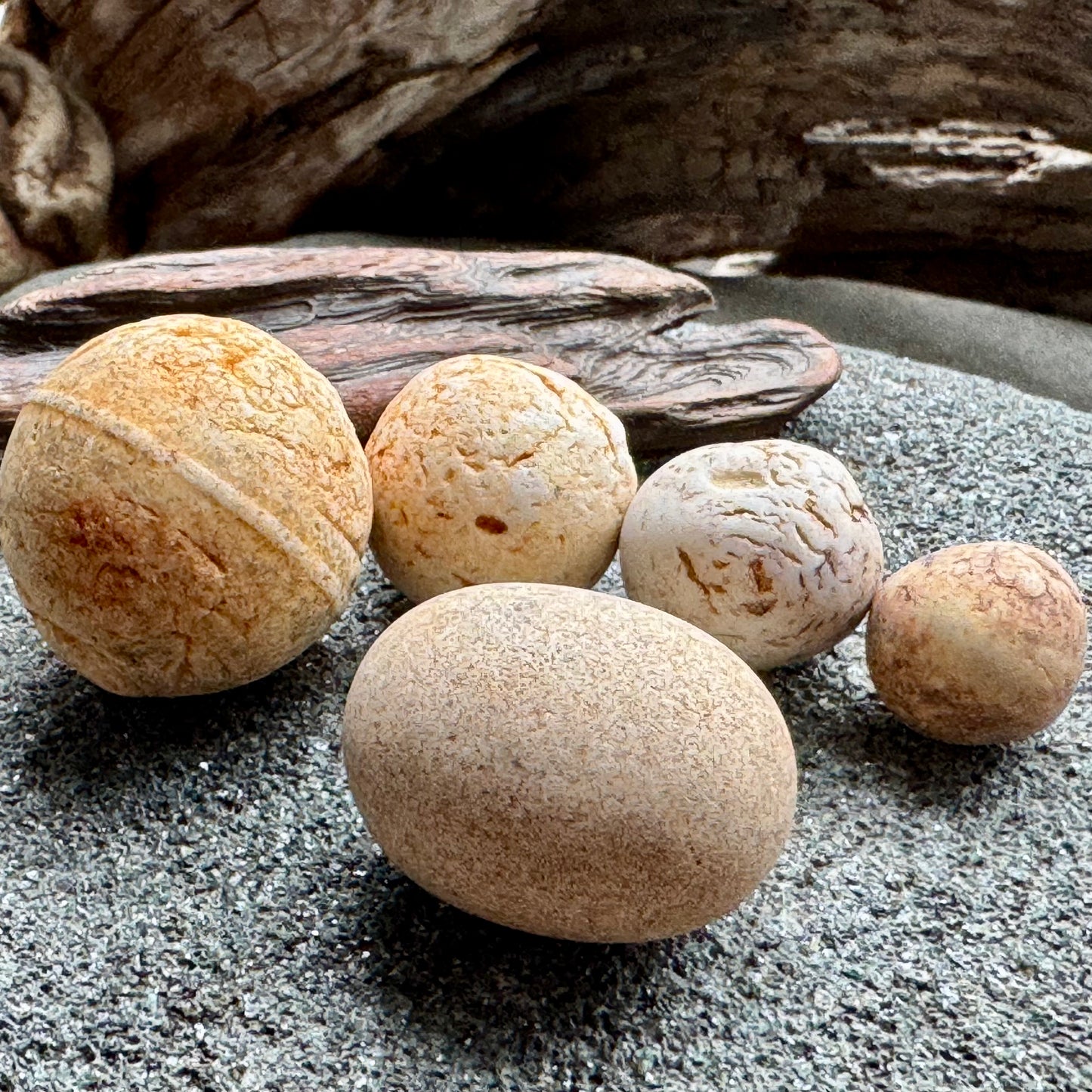Sea Clay Marbles Set – Natural Ocean Tumbled Ceramic Balls, Beach Found Sea Pottery, Wabi-Sabi Decor, Collector Pieces (5 pcs) A2611