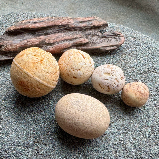 Sea Clay Marbles Set – Natural Ocean Tumbled Ceramic Balls, Beach Found Sea Pottery, Wabi-Sabi Decor, Collector Pieces (5 pcs) A2611