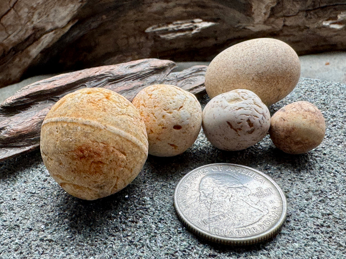 Sea Clay Marbles Set – Natural Ocean Tumbled Ceramic Balls, Beach Found Sea Pottery, Wabi-Sabi Decor, Collector Pieces (5 pcs) A2611