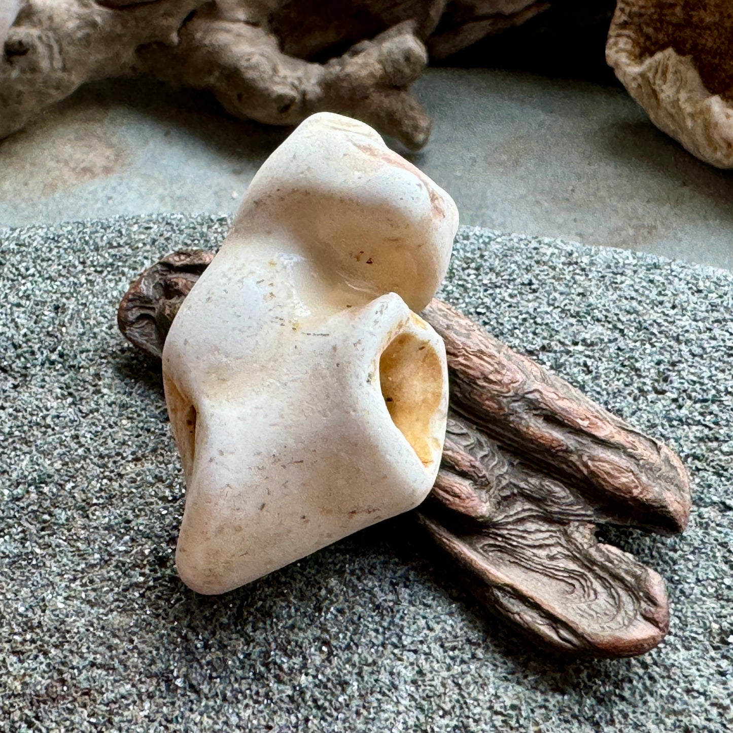 Sea Pottery Animal Figurine – Beach Found Ceramic Mini Sculpture, Wabi Sabi Decor, Ocean Tumbled Collectible A2004