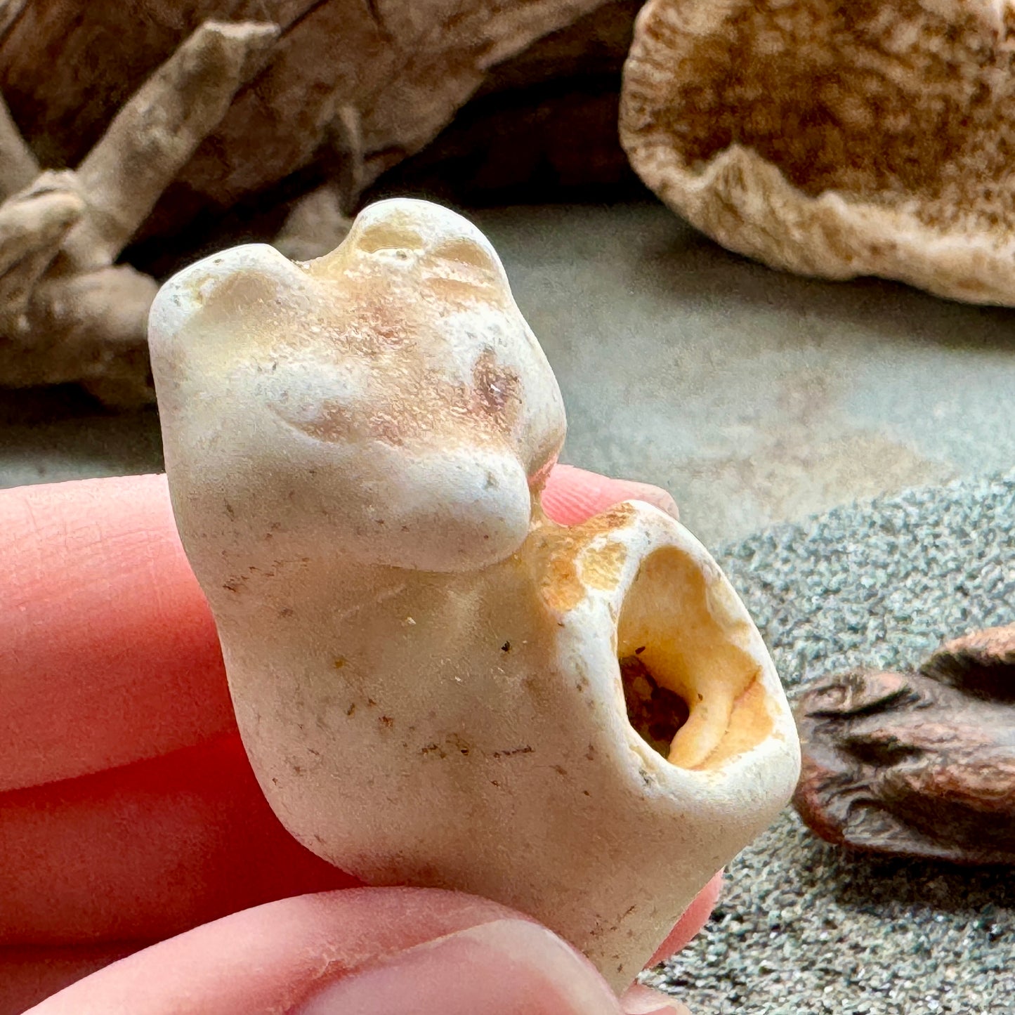 Sea Pottery Animal Figurine – Beach Found Ceramic Mini Sculpture, Wabi Sabi Decor, Ocean Tumbled Collectible A2004