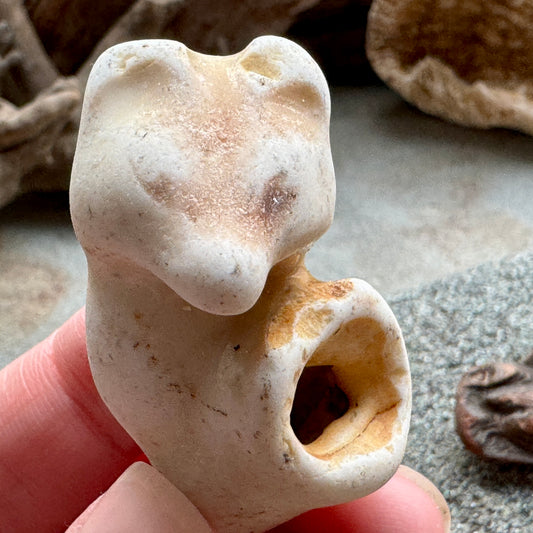 Sea Pottery Animal Figurine – Beach Found Ceramic Mini Sculpture, Wabi Sabi Decor, Ocean Tumbled Collectible A2004