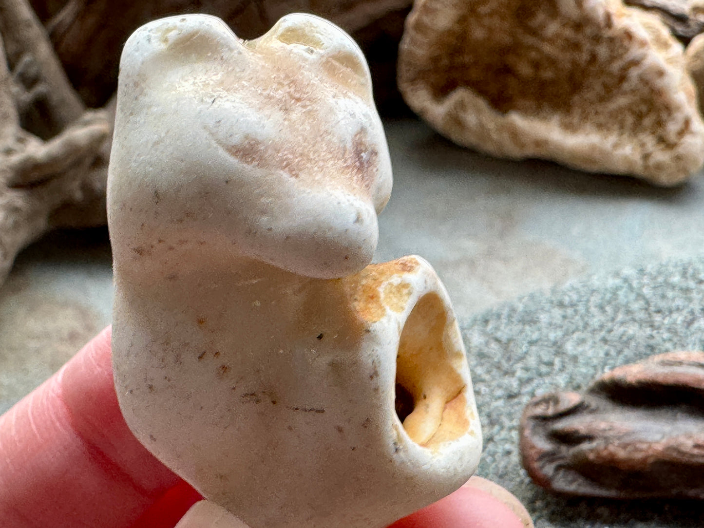 Sea Pottery Animal Figurine – Beach Found Ceramic Mini Sculpture, Wabi Sabi Decor, Ocean Tumbled Collectible A2004