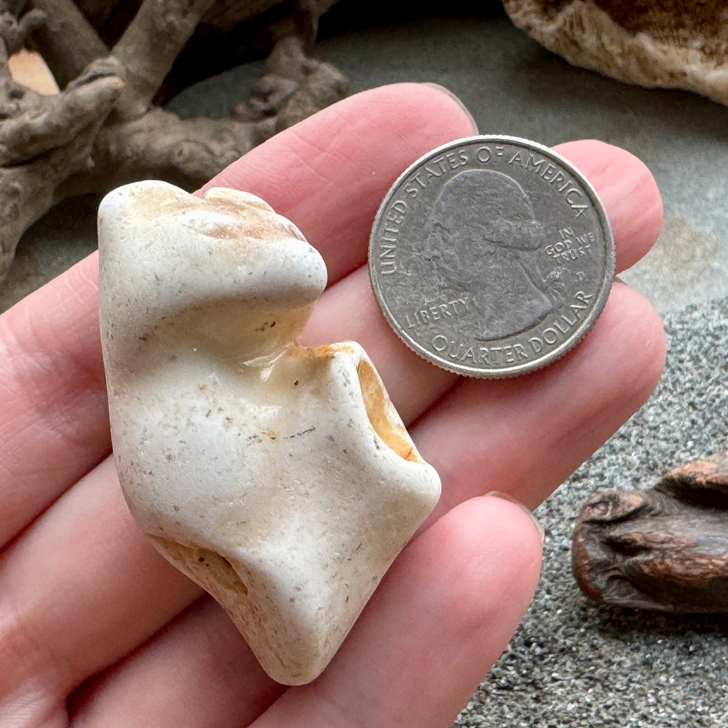 Sea Pottery Animal Figurine – Beach Found Ceramic Mini Sculpture, Wabi Sabi Decor, Ocean Tumbled Collectible A2004