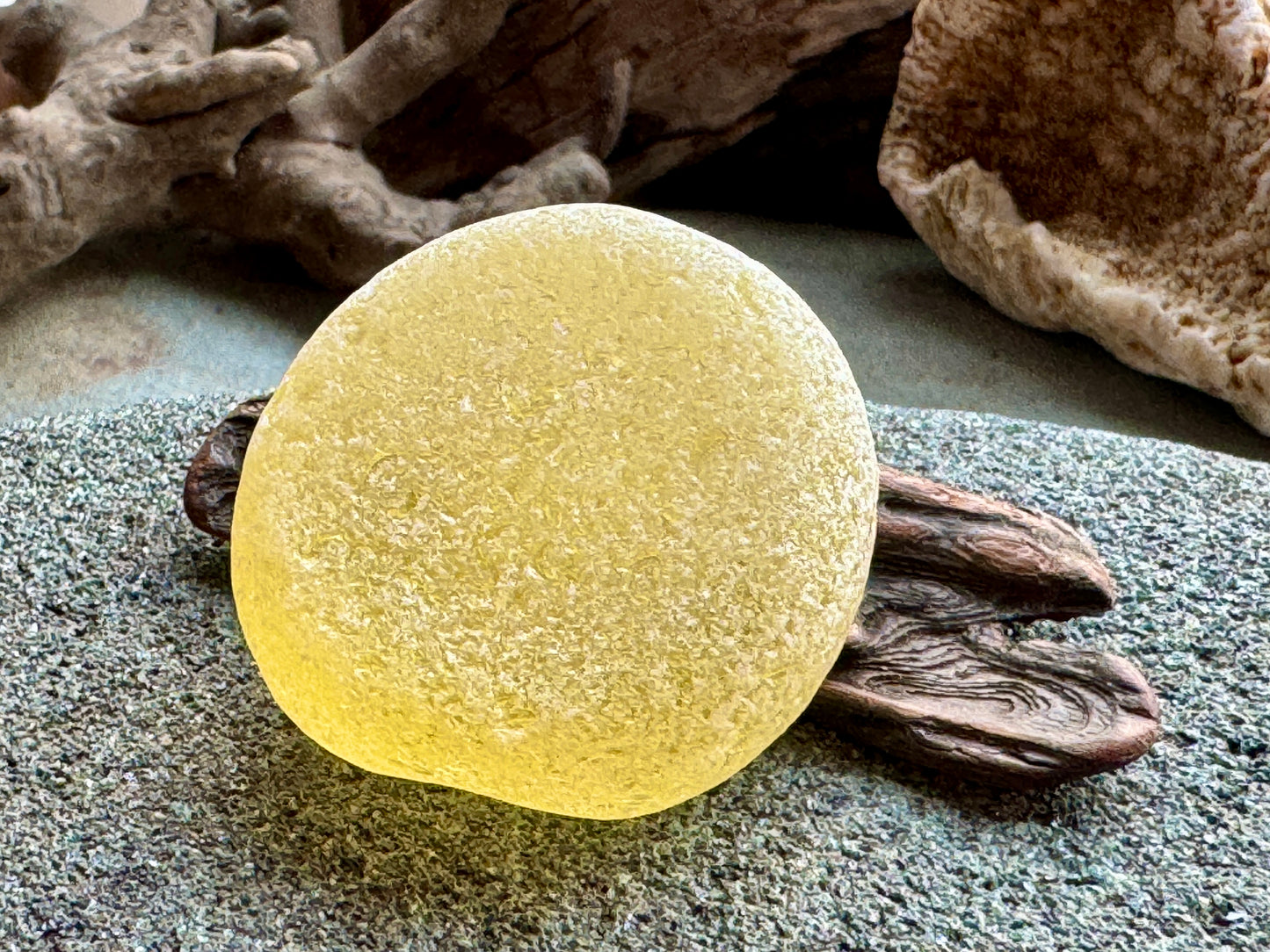 Large Honey Amber Sea Glass A2005 – Natural Genuine Beach Found Piece