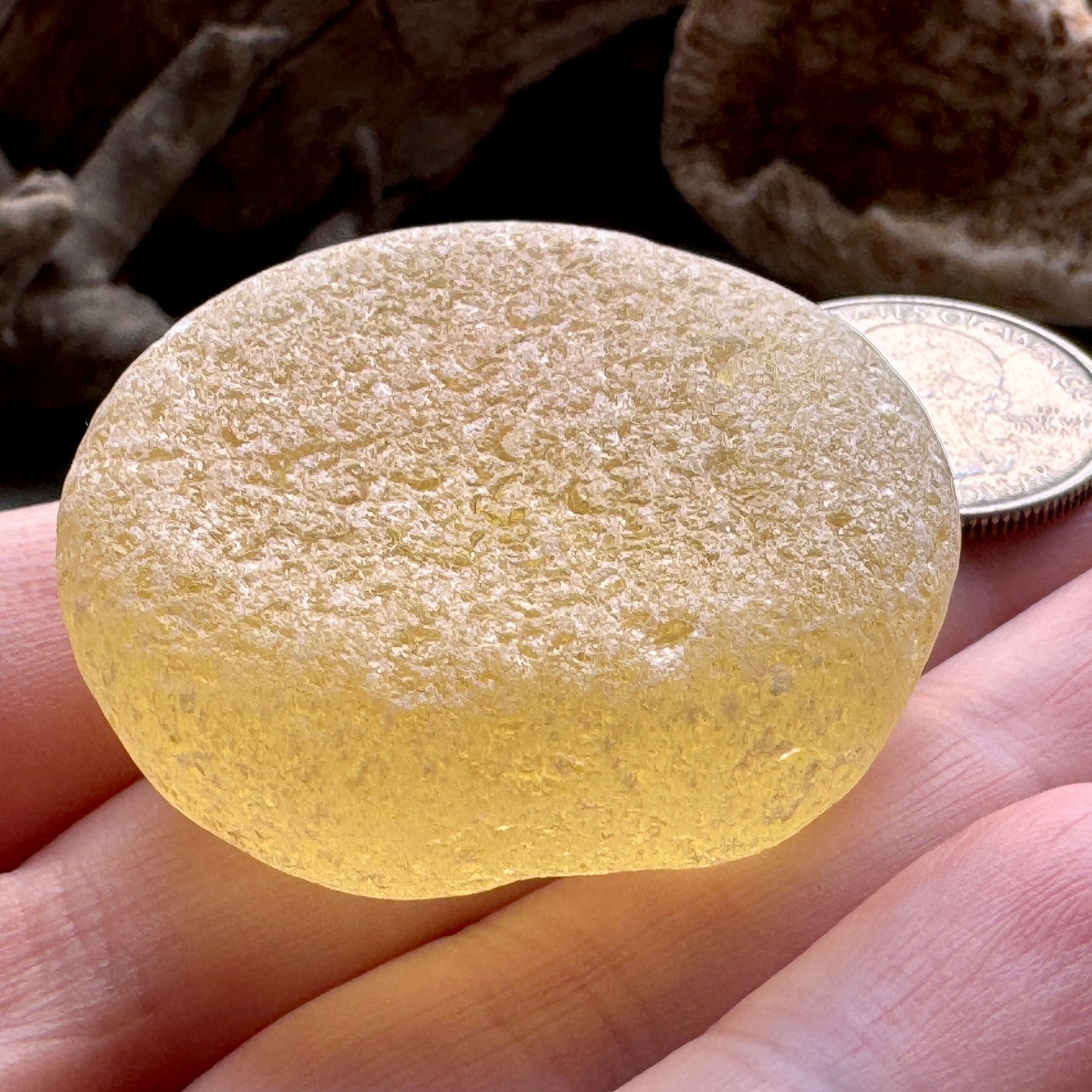 Large Honey Amber Sea Glass A2005 – Natural Genuine Beach Found Piece